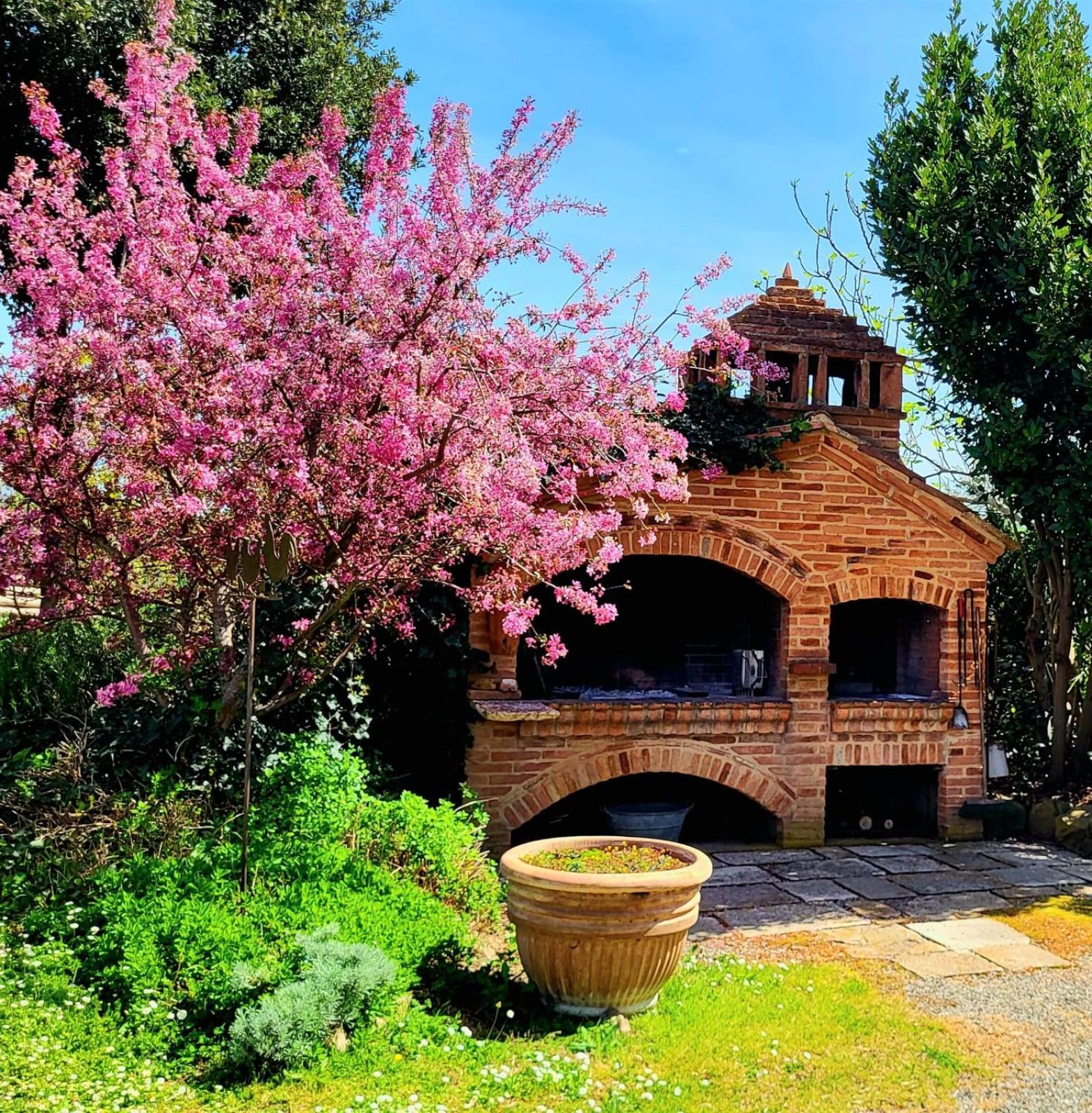 Podere Cunina Buonconvento Eksteriør bilde