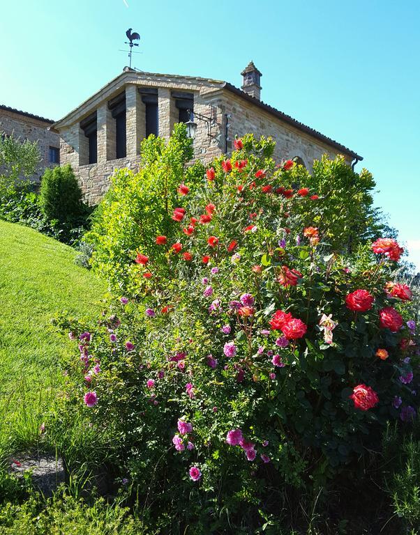 Podere Cunina Buonconvento Eksteriør bilde